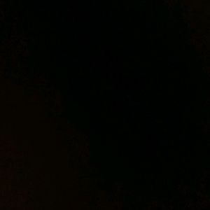 Meet your Posher, Celina